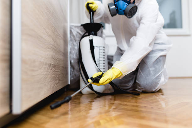 Best Mosquito Control Services  in Avoca, IA