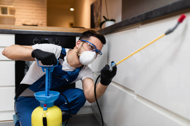 Best Flea Control Services  in Avoca, IA