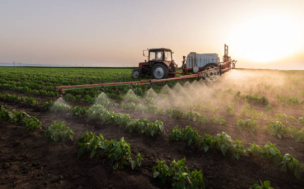 Best Commercial Pest Control Services  in Avoca, IA