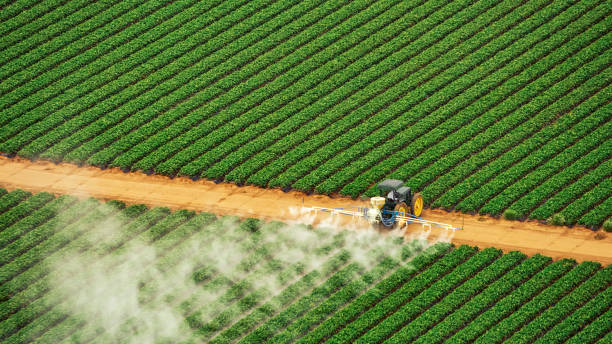 Professional Pest Control in Avoca, IA