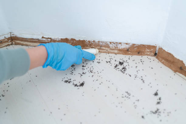 Wildlife Control Services in Avoca, IA